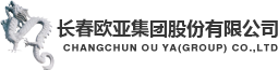 送飛實業集團